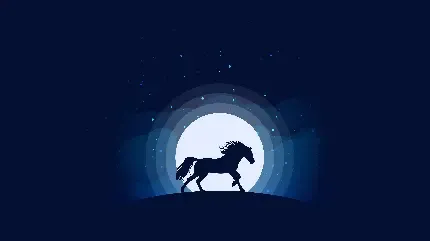  عکس اسب سفید در کویر