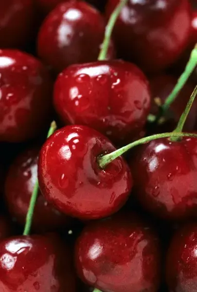  عکس آلبالو فانتزی با کیفیت بالا