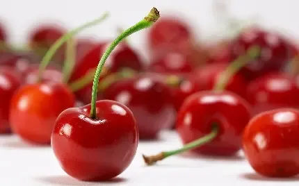  عکس آلبالو فانتزی با کیفیت بالا