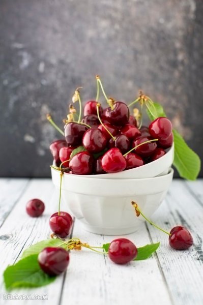 عکس آلبالو برای تصویر زمینه کامپیوتر