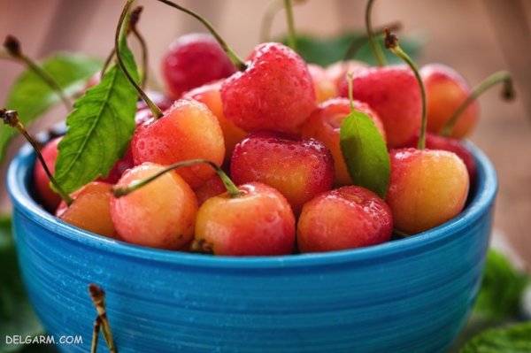 عکس آلبالو برای تصویر زمینه کامپیوتر