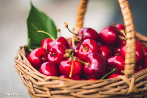 عکس آلبالو برای تصویر زمینه کامپیوتر