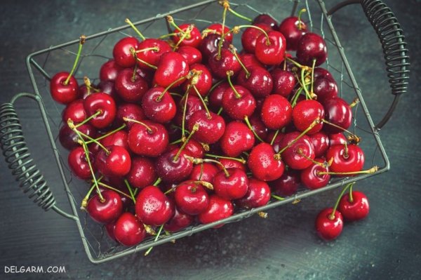 عکس آلبالو برای تصویر زمینه کامپیوتر