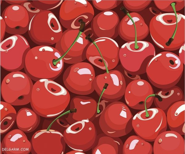 عکس آلبالو برای تصویر زمینه کامپیوتر