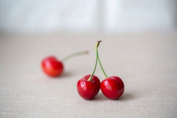 عکس آلبالو برای تصویر زمینه کامپیوتر