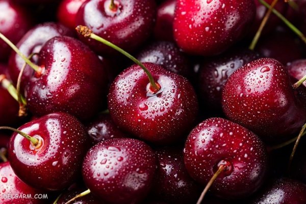 عکس آلبالو برای تصویر زمینه کامپیوتر
