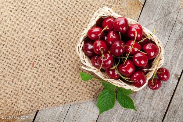 عکس سبد آلبالو برای پس زمینه گوشی