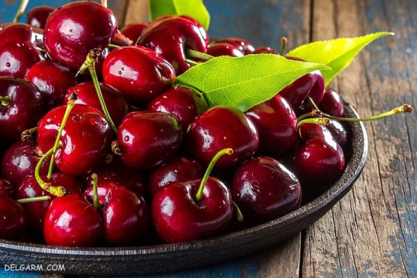 عکس سبد آلبالو برای پس زمینه گوشی