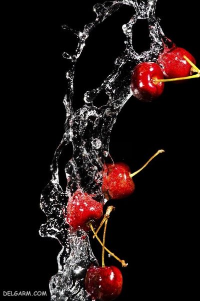 عکس سبد آلبالو برای پس زمینه گوشی