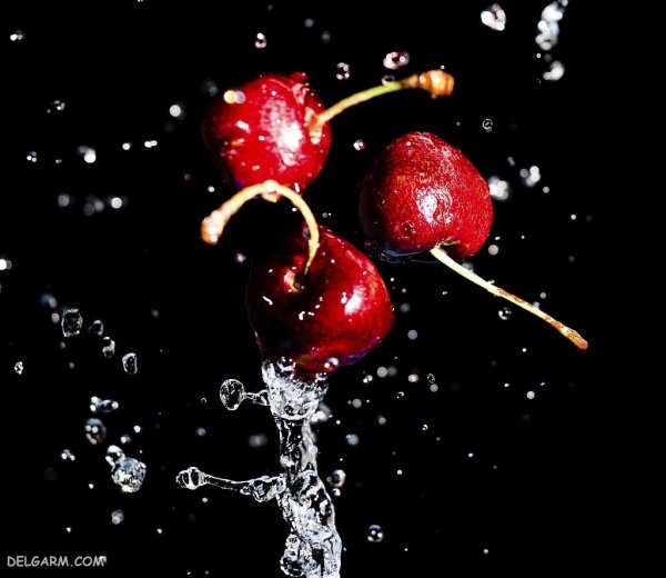 عکس سبد آلبالو برای پس زمینه گوشی