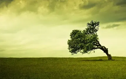 عکس تنهایی پسر بدون چهره برای زمینه موبایل