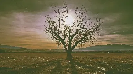 عکس تنهایی پسر بدون چهره برای زمینه موبایل