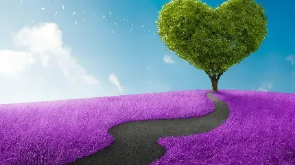  عکس تک درخت تنها برای پروفایل