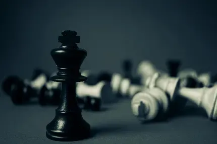  عکس شطرنج برای پروفایل