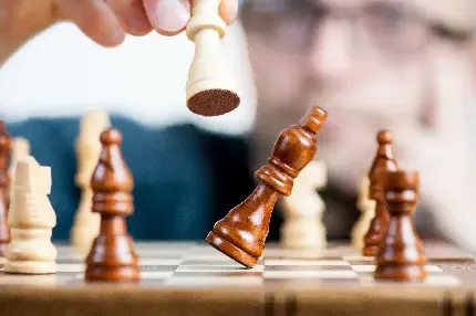  عکس شطرنج برای پروفایل