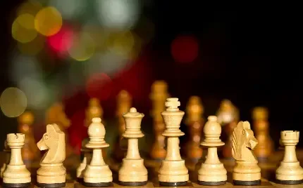  عکس شطرنج برای پروفایل