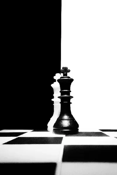  عکس شطرنج زیبا