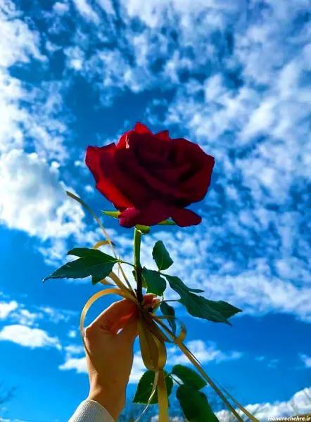  عکس پروفایل شاد و قشنگ