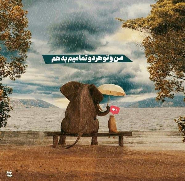  عکس پروفایل شاد و انرژی مثبت