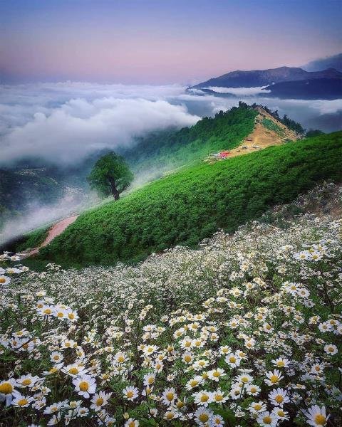  عکس پروفایل شاد و انرژی مثبت