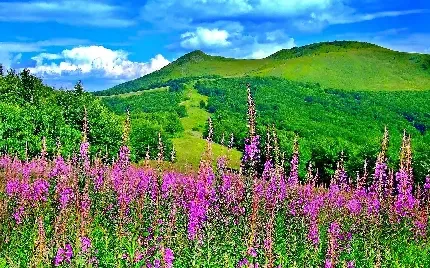  عکس بهاری پروفایل واتساپ
