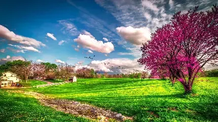  عکس بهاری پروفایل واتساپ