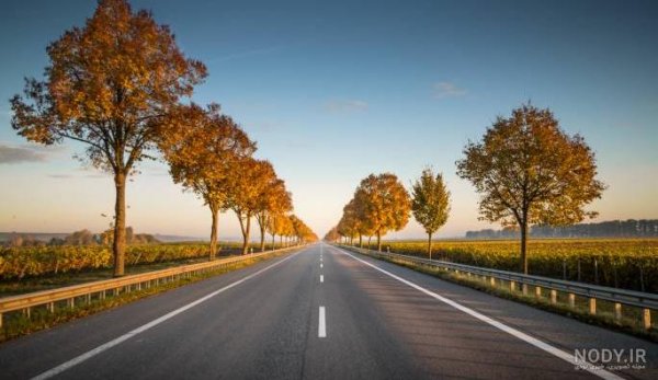  عکس جاده جنگلی با کیفیت بالا