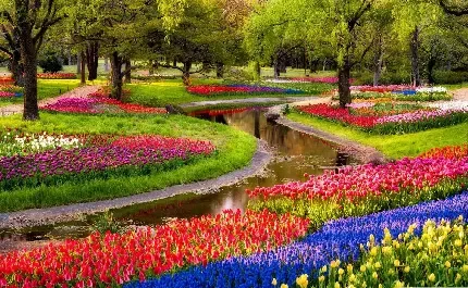  تصویر زمینه دشت گل های زرد با کیفیت HD