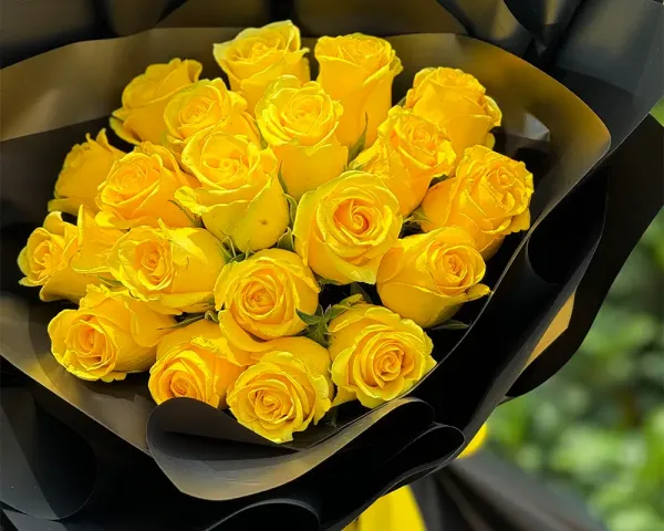 عکس گل رز زرد عاشقانه