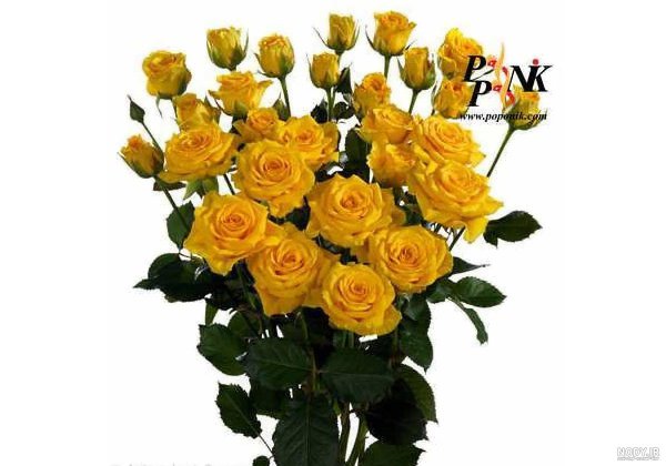 عکس گل زرد برای تصویر زمینه