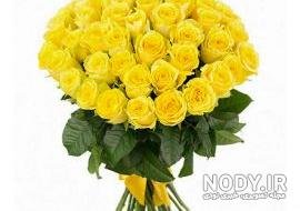 عکس گل زرد برای تصویر زمینه