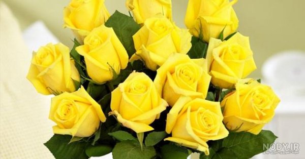 عکس گل زرد برای پروفایل واتساپ