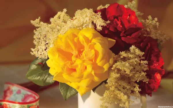 عکس گل زرد و قرمز
