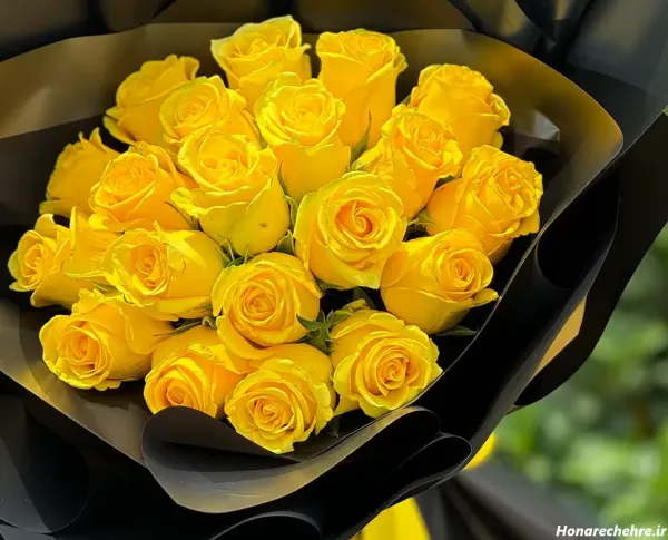 عکس گل زرد و قرمز