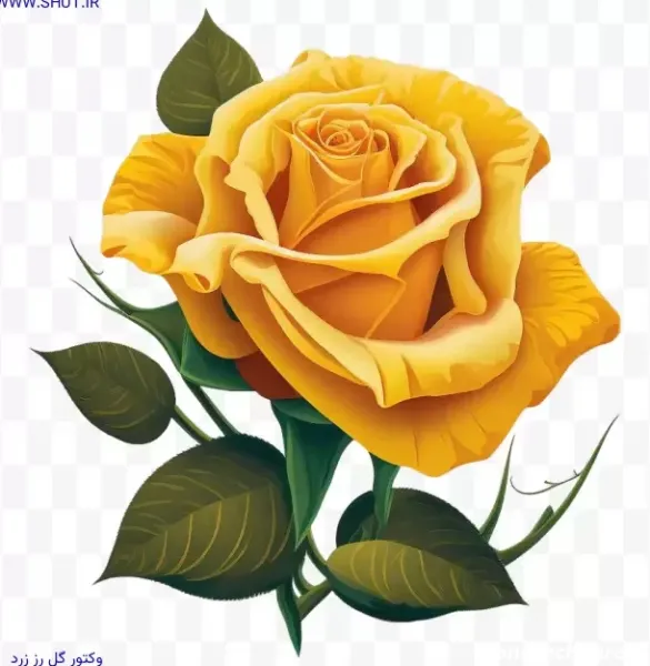 عکس گل زرد و قرمز
