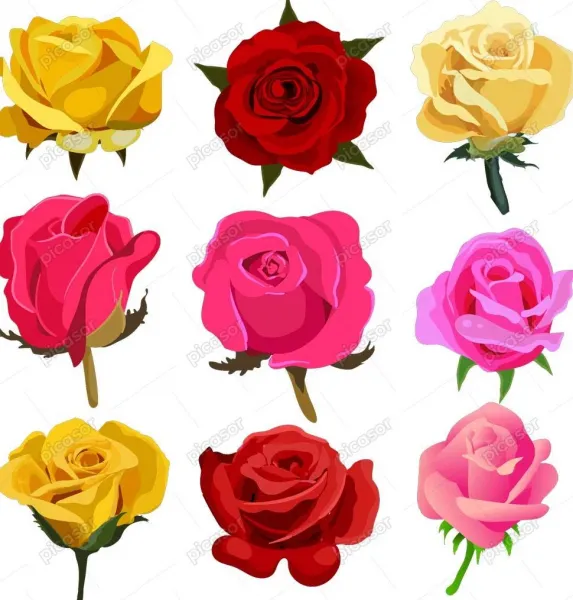 عکس گل زرد و قرمز