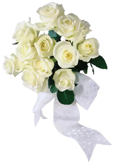  عکس گل زرد و سفید
