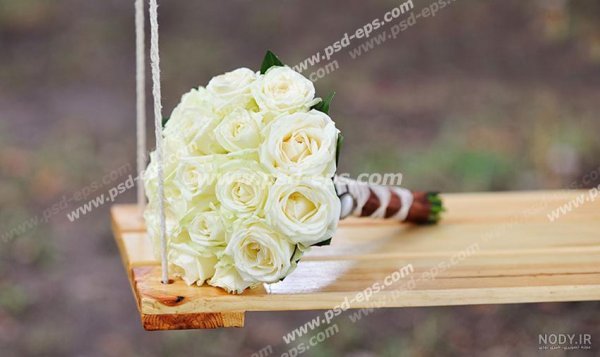  عکس گل زرد و سفید