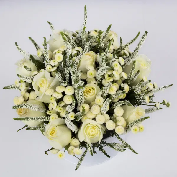  عکس گل زرد و سفید