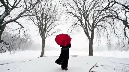  عکس نینجا برای پروفایل دختر