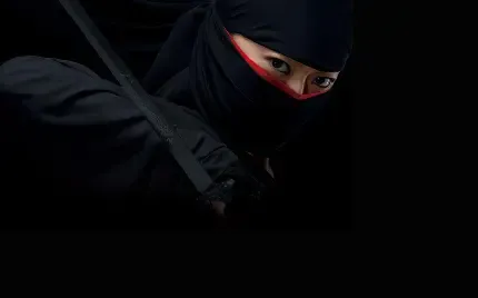 والپیپر ساده سامورایی
