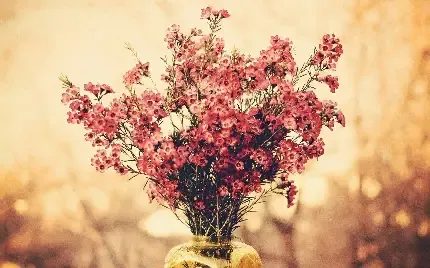  عکس باربی زیبا برای پروفایل
