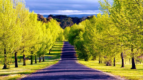  عکس بک گراند طبیعت