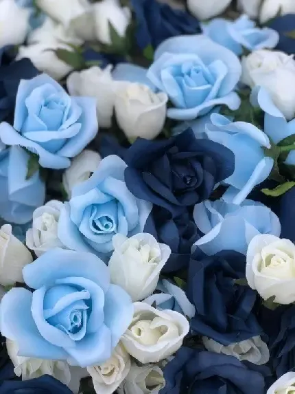  عکس بک گراند ابی