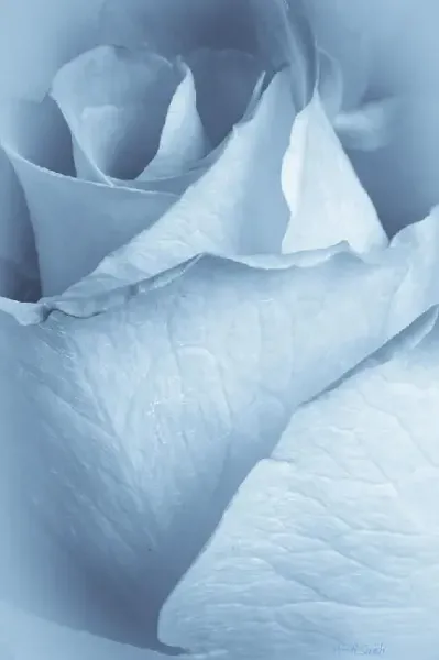 عکس بک گراند ابی