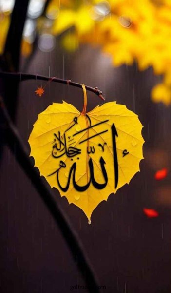  عکس بک گراند الله