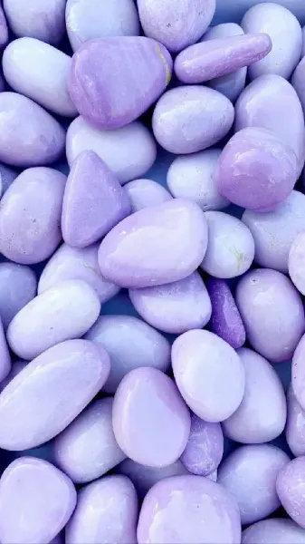  عکس بک گراند بنفش
