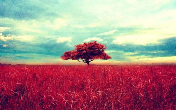  عکس بک گراند برای کامپیوتر