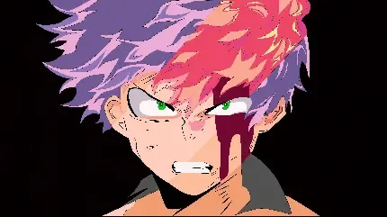 عکس انیمه وان پیس زورو