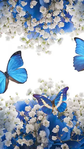  عکس گل و پروانه برای تصویر زمینه گوشی